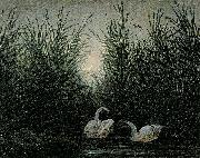 Caspar David Friedrich Schwaene im Schilf France oil painting artist